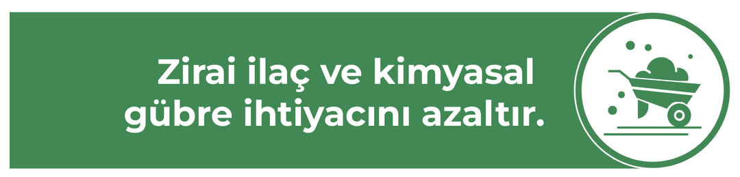 What is Agrozym