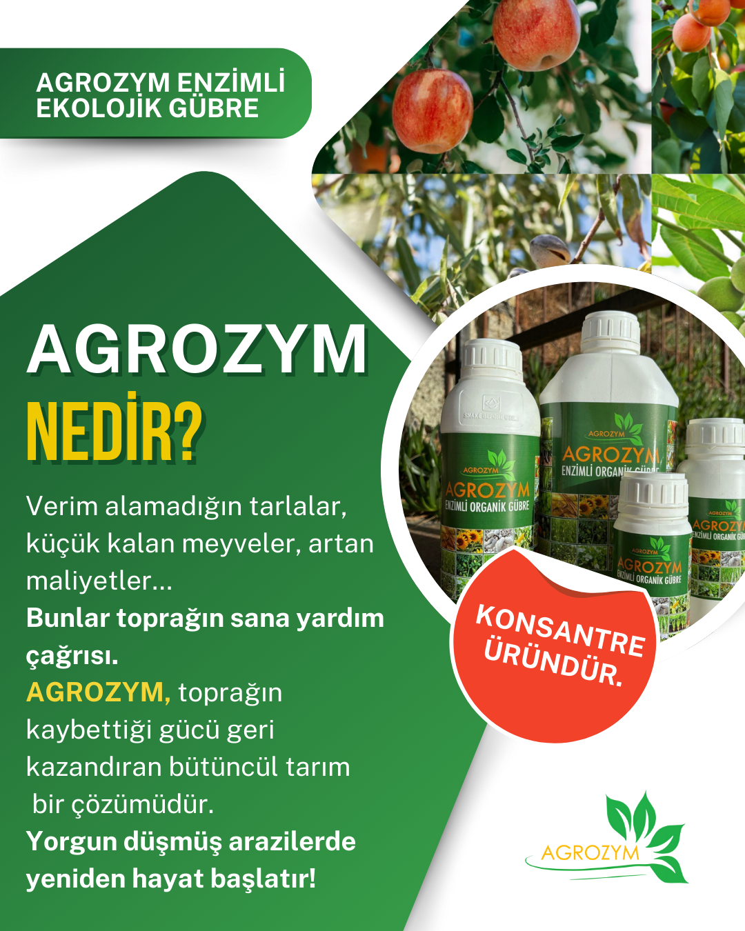 Agrozym Enzimli Organik Sıvı Gübre